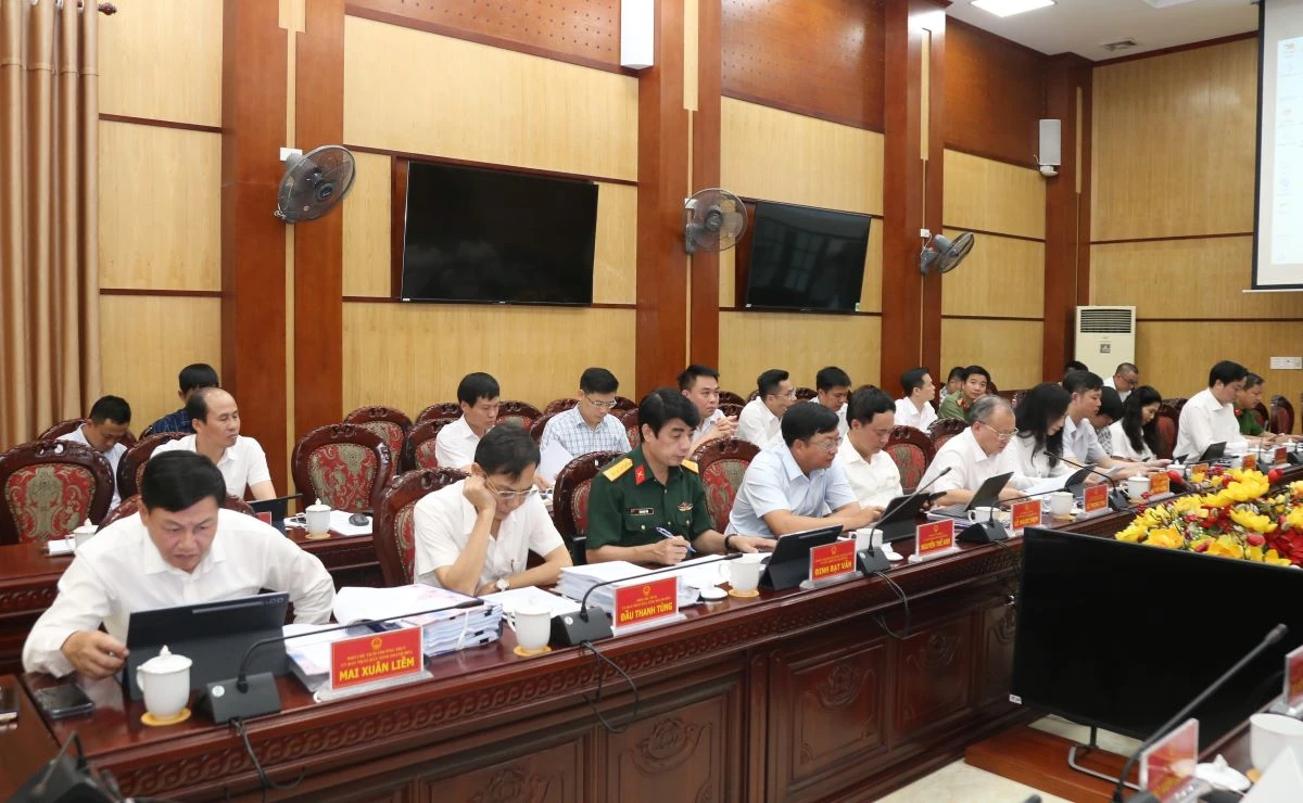 Thảo luận, cho ý kiến vào các tờ trình, nghị quyết, đề án phục vụ phát triển kinh tế - xã hội