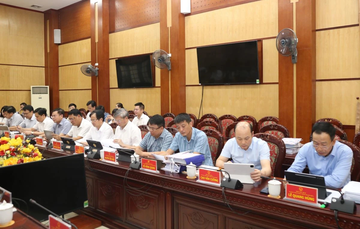 Thảo luận, cho ý kiến vào các tờ trình, nghị quyết, đề án phục vụ phát triển kinh tế - xã hội