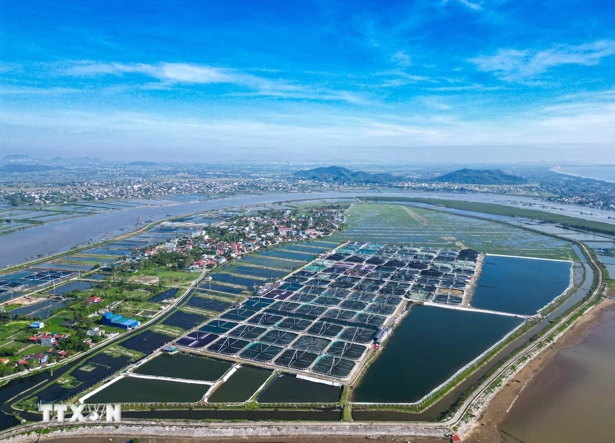 Việt Nam chính thức khai trương Sàn giao dịch carbon trong nước