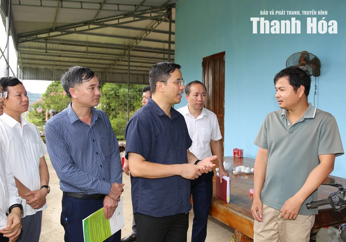 Tập trung tháo gỡ khó khăn, vướng mắc, khơi thông nguồn lực đưa Xuân Bình phát triển
