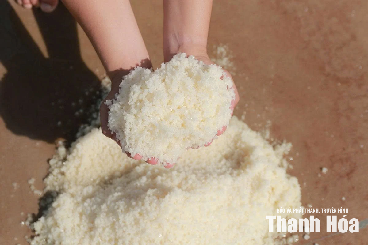 Sinh ra từ nắng, lấp lánh giữa đời