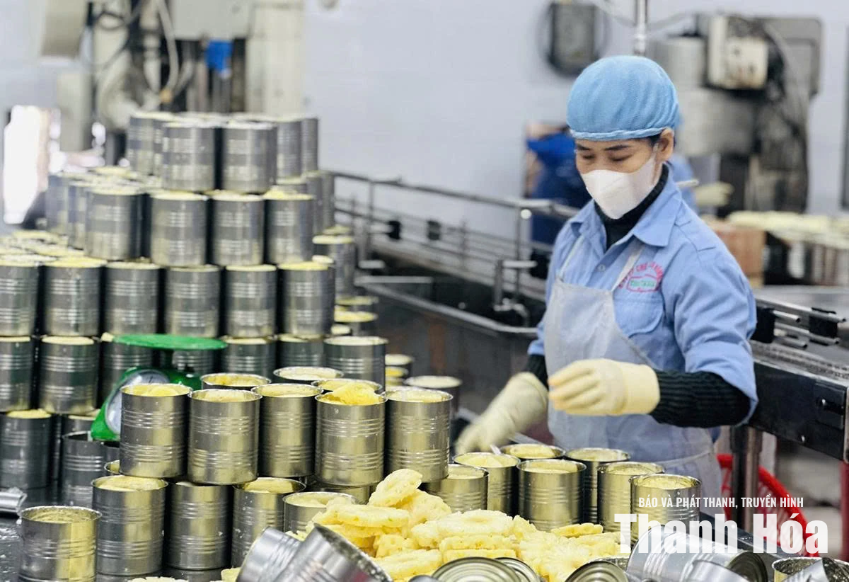 Tạo môi trường thuận lợi để kinh tế tư nhân phát triển