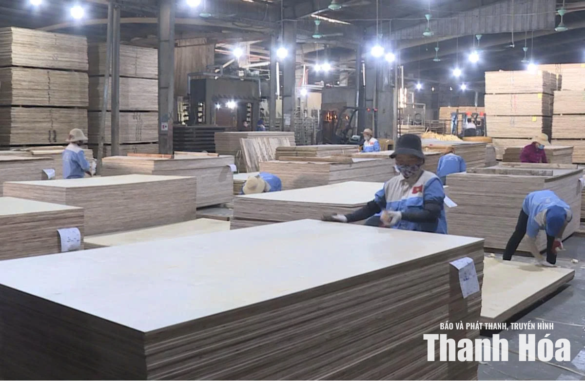 Doanh nghiệp chủ động ứng phó với phòng vệ thương mại
