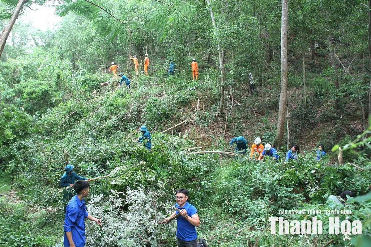 Hành lang an toàn điện vẫn tiềm ẩn nhiều rủi ro