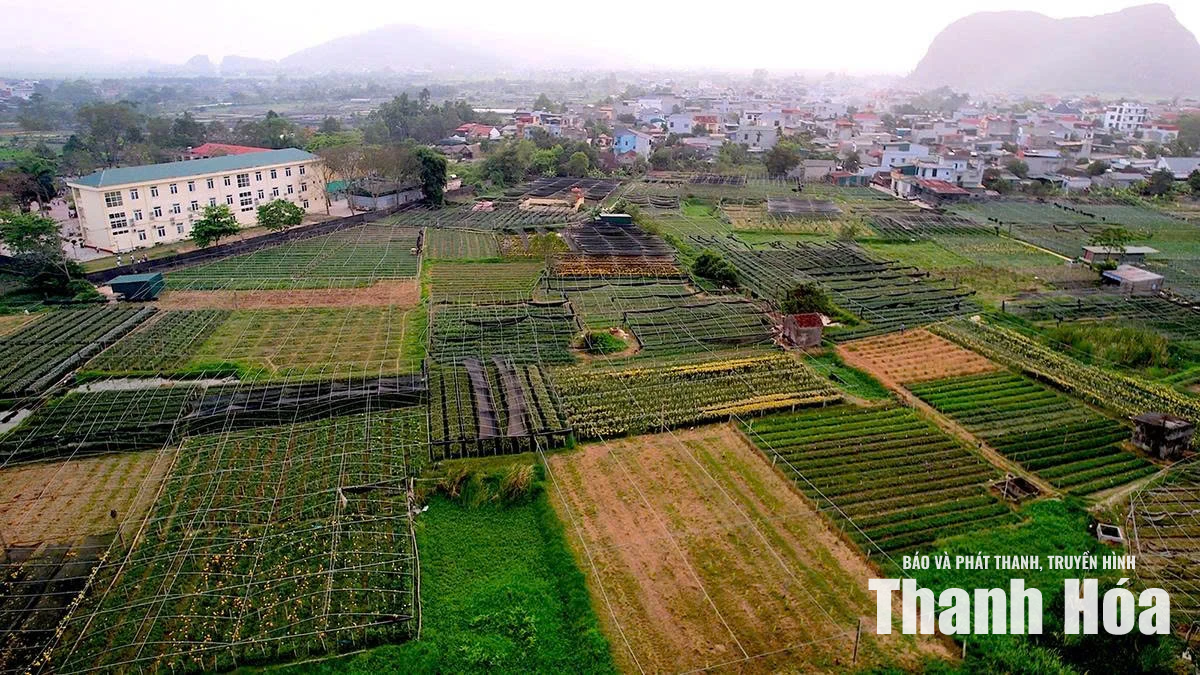Nhiều địa phương chậm tiến độ xây dựng khu tái định cư phục vụ Dự án đường sắt tốc độ cao Bắc – Nam