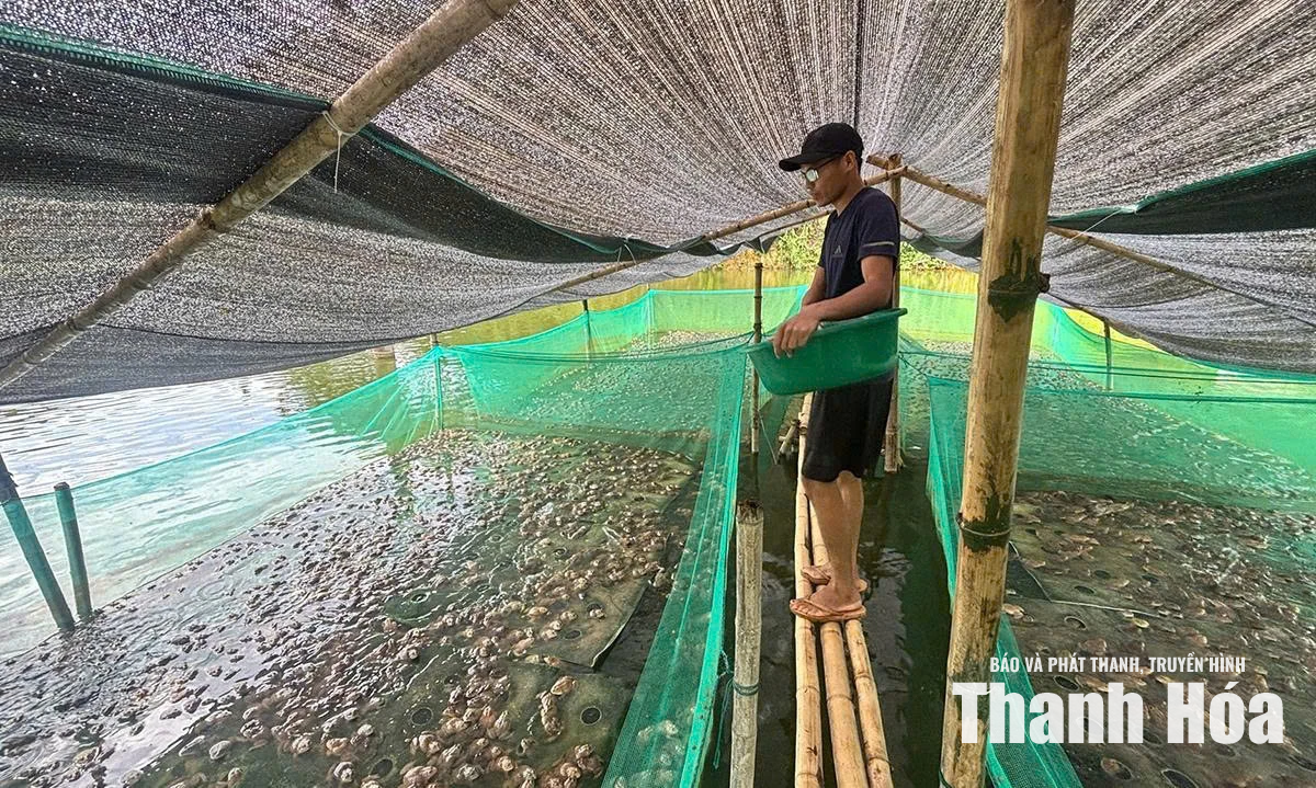 Thắp lửa khát vọng làm giàu của thanh niên