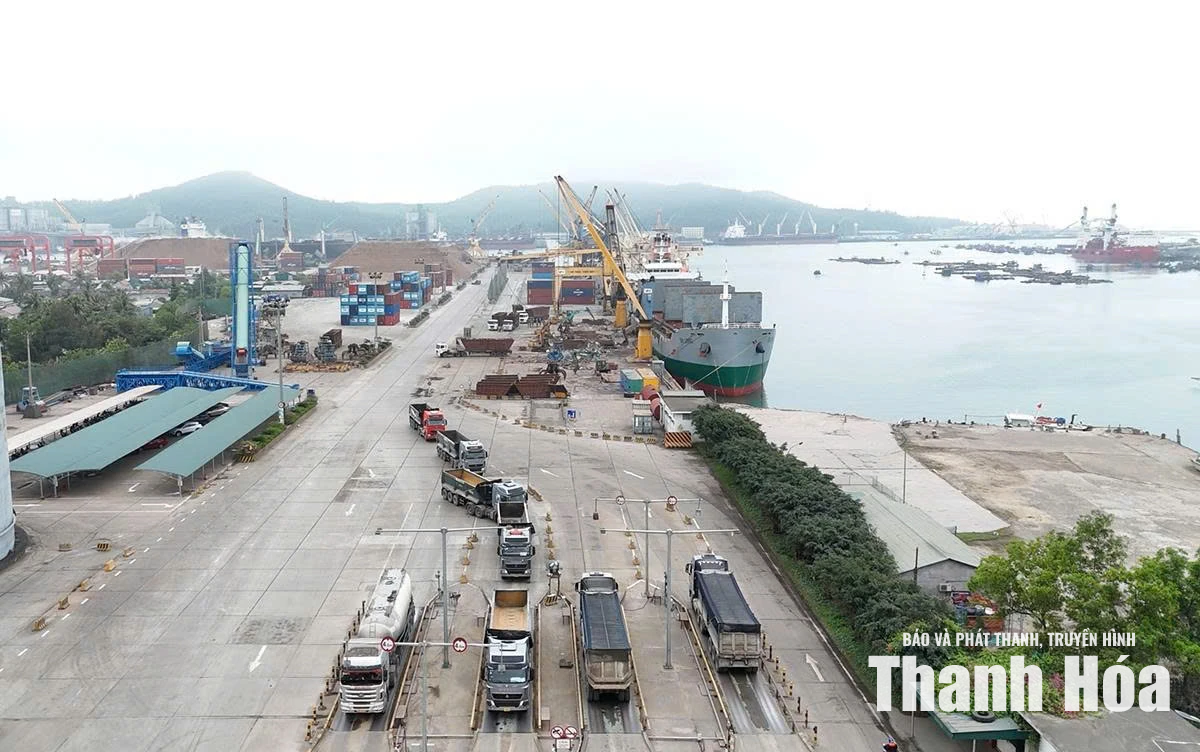 Định hình trụ cột logistics và dịch vụ cảng biển