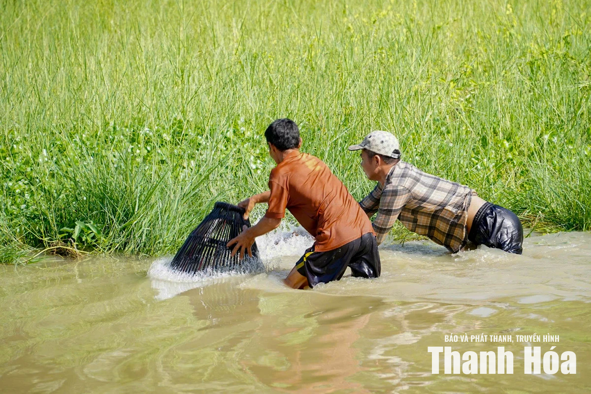 Lễ hội Du lịch Làng Yên Trung: Giữ hồn quê bằng những trò chơi dân gian