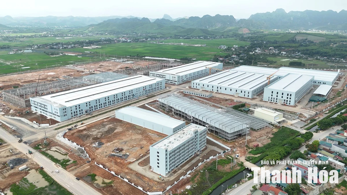 Ưu tiên chế biến sâu và sản xuất xanh