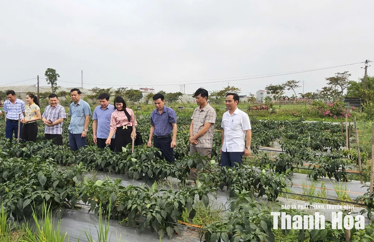 Nga Thắng phấn đấu trở thành xã phát triển khá của tỉnh