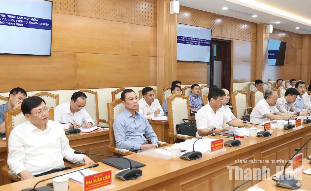 Chủ tịch UBND tỉnh Tô Anh Dũng làm việc với Hiệp hội Doanh nghiệp TP Hồ Chí Minh