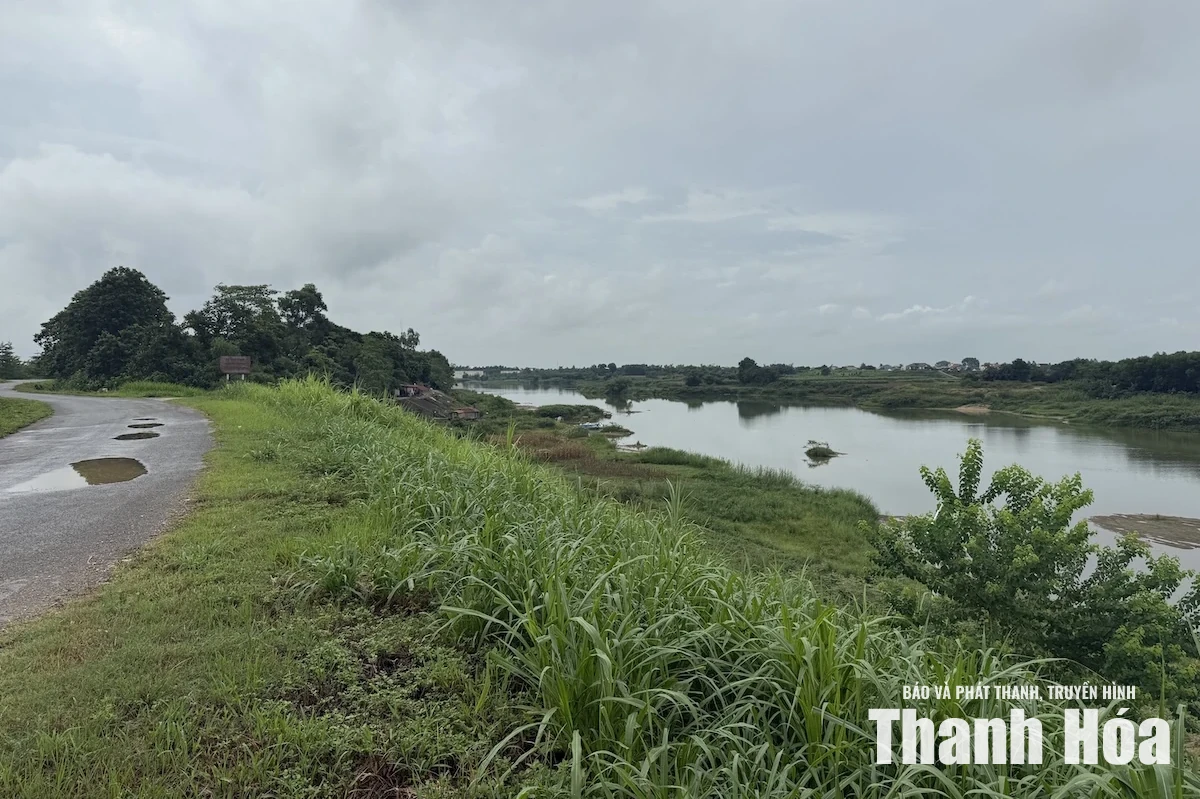 Thanh Hóa có 47 công trình đê, kè, cống xung yếu phải xây dựng phương án trọng điểm