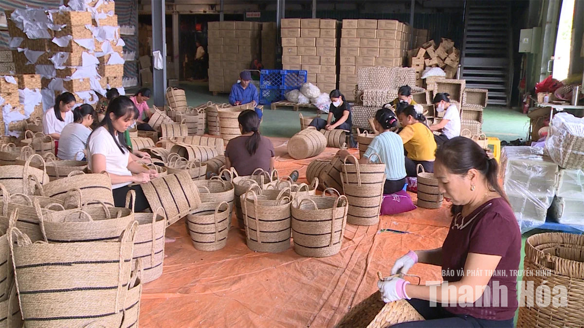 Chủ động vượt khó, dồn sức cho mục tiêu xuất khẩu 8,5 tỷ USD