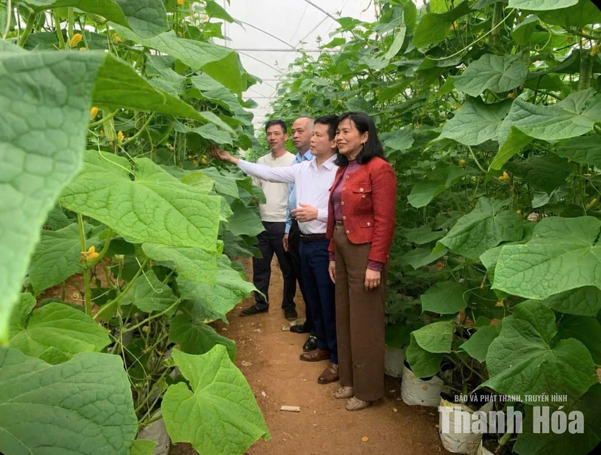 Để đồng vốn mở đường sinh kế cho nông dân