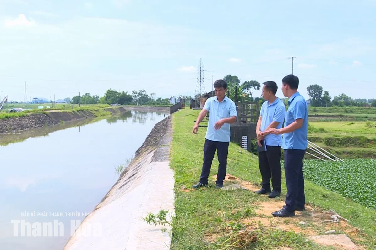 Xã Sao Vàng chủ động bảo vệ an toàn đê
