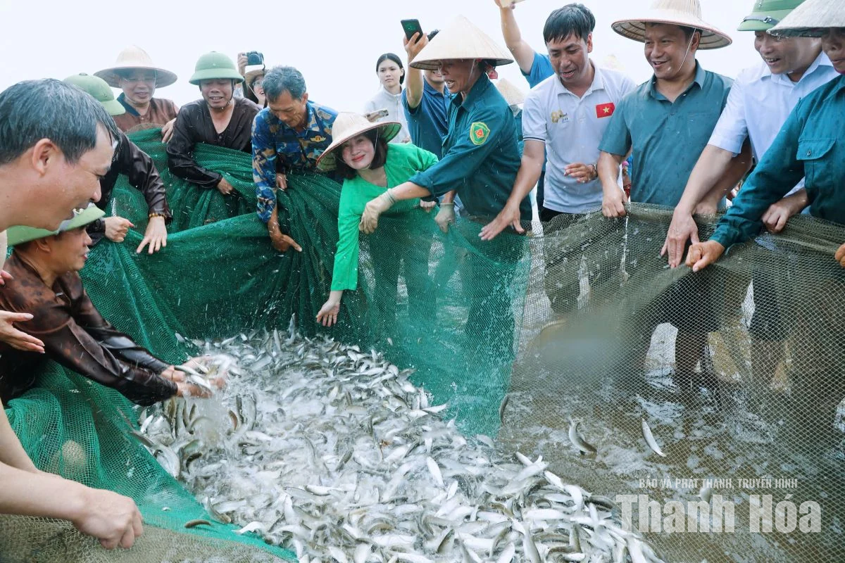 Chạm nhịp sống làng chài ven biển Hải Tiến