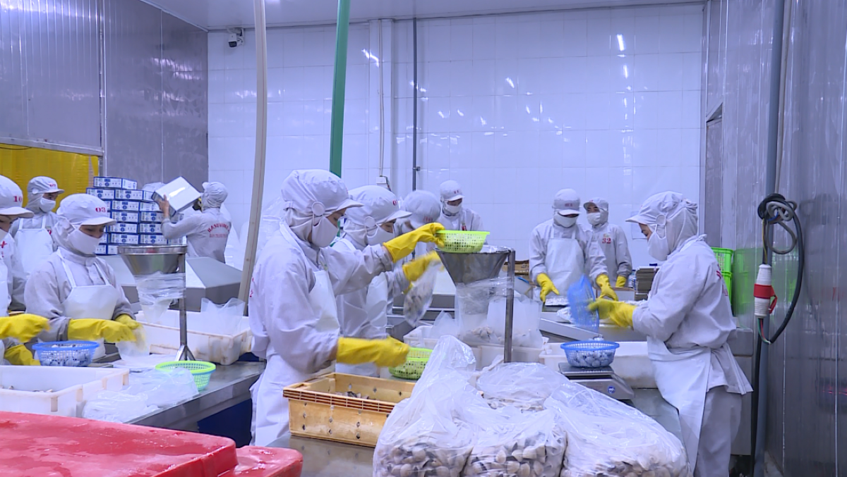 Thanh Hóa trong nhóm dẫn đầu thực thi hiệu quả các FTA để mở rộng xuất khẩu