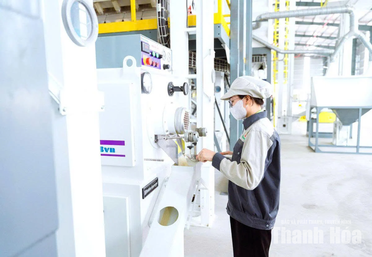 Giảm thuế tạo sức bật cho khu vực sản xuất, kinh doanh