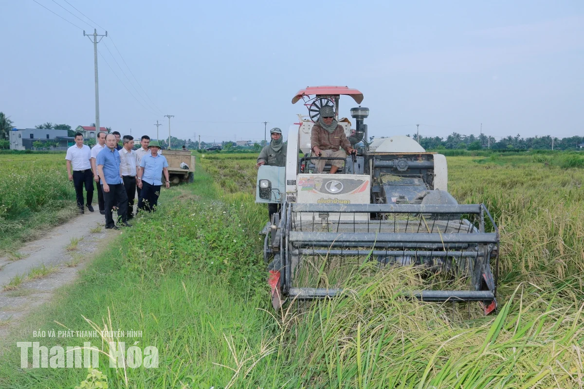 Phó Chủ tịch UBND tỉnh Cao Văn Cường kiểm tra sản xuất tại các địa phương
