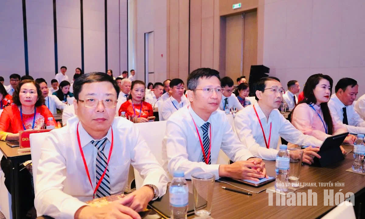 TP Hồ Chí Minh và các tỉnh phía Bắc, Bắc Trung Bộ mở rộng hợp tác giai đoạn 2026-2030