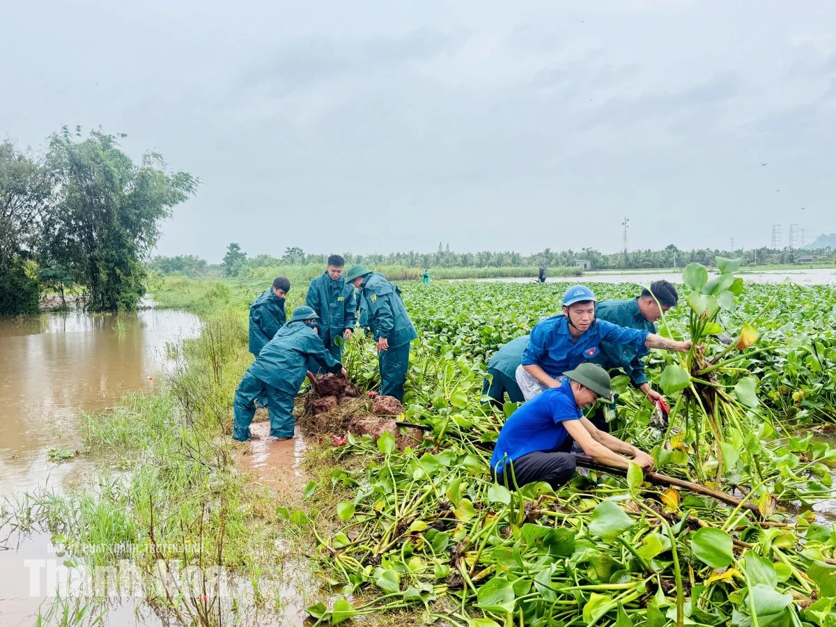 Tuổi trẻ Thanh Hóa hỗ trợ người dân ứng phó với mưa lũ