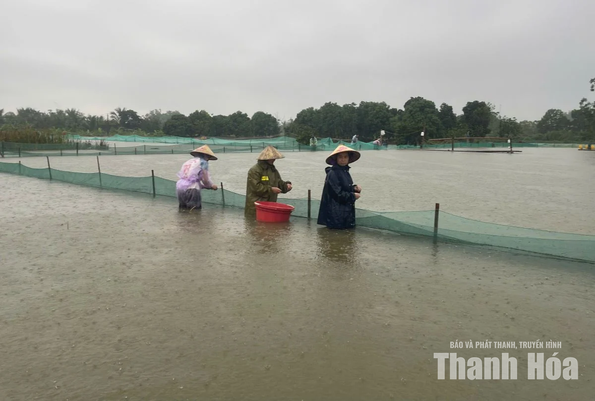 Tuổi trẻ Thanh Hóa hỗ trợ người dân ứng phó với mưa lũ