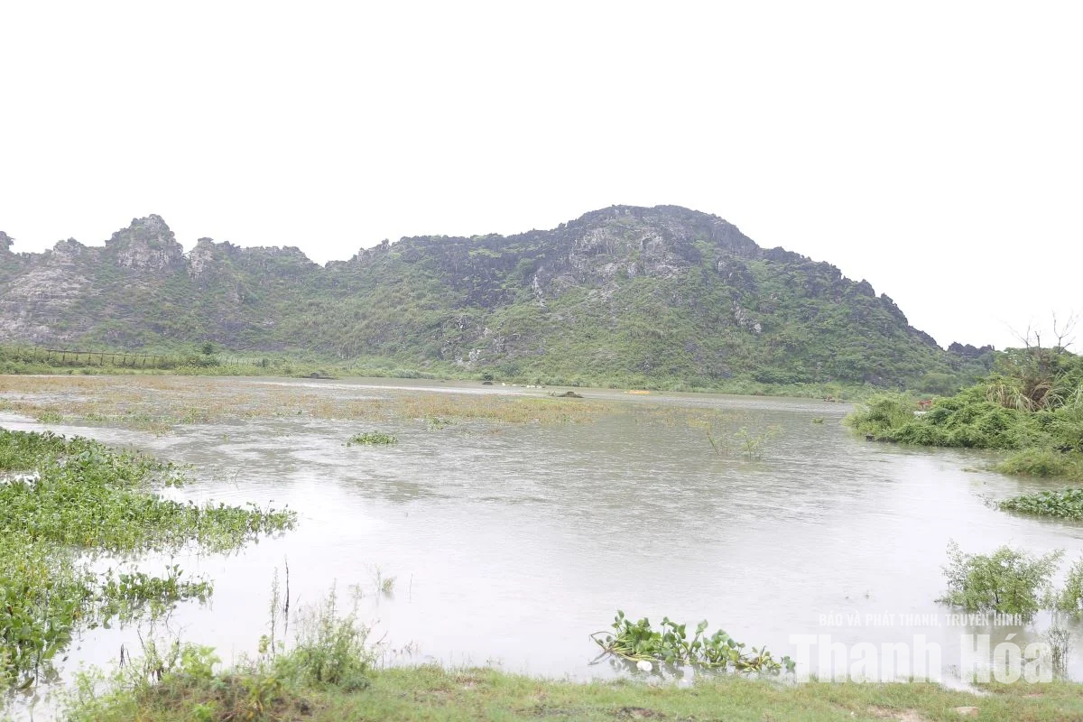 Chủ tịch UBND tỉnh Tô Anh Dũng kiểm tra, chỉ đạo khắc phục tình trạng ngập nước tại các khu đô thị