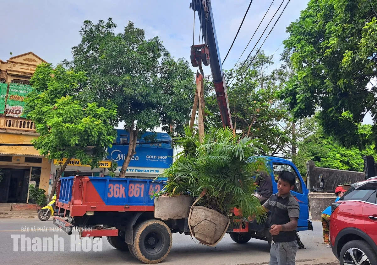Phường Hạc Thành: Xem xét hạ mức đánh giá hoàn thành nhiệm vụ nếu cán bộ không chấp hành quy định về trật tự đô thị
