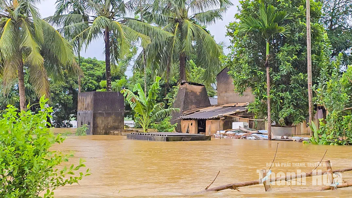 Nước sông Bưởi dâng cao, hàng trăm nhà dân ngập sâu