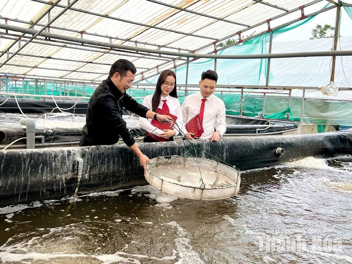 Tiếp vốn cho nông nghiệp, nông thôn