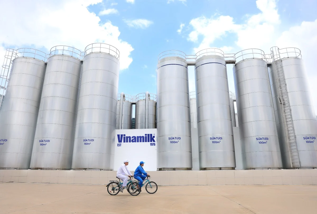 50 năm Vinamilk: Khi “đạt chuẩn” chưa phải là điểm dừng