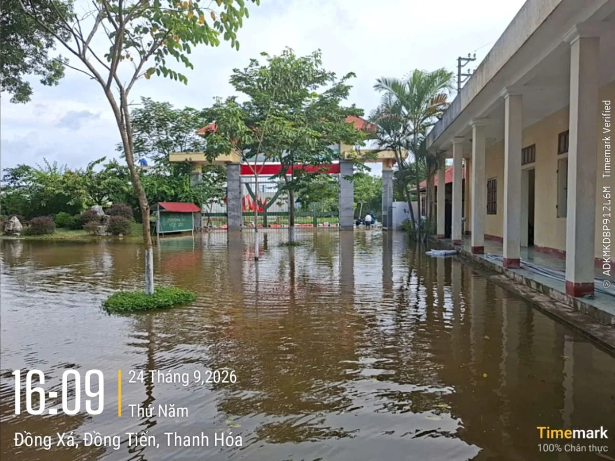 Huy động 7 máy bơm, khẩn trương tiêu thoát nước tại 3 trường học ở Đồng Tiến