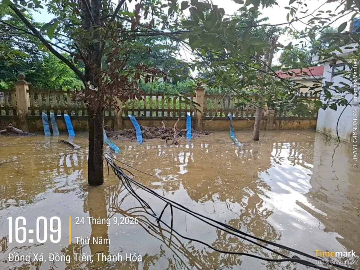Huy động 7 máy bơm, khẩn trương tiêu thoát nước tại 3 trường học ở Đồng Tiến