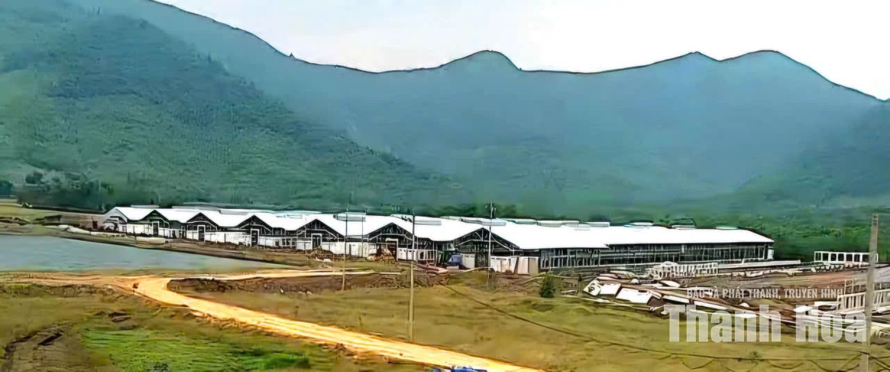 Đẩy nhanh tiến độ dự án chăn nuôi gà thịt công nghệ cao tại Mậu Lâm
