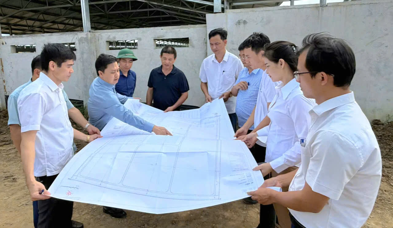Đẩy nhanh tiến độ dự án chăn nuôi gà thịt công nghệ cao tại Mậu Lâm