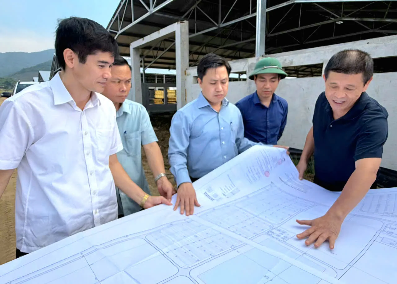 Đẩy nhanh tiến độ dự án chăn nuôi gà thịt công nghệ cao tại Mậu Lâm