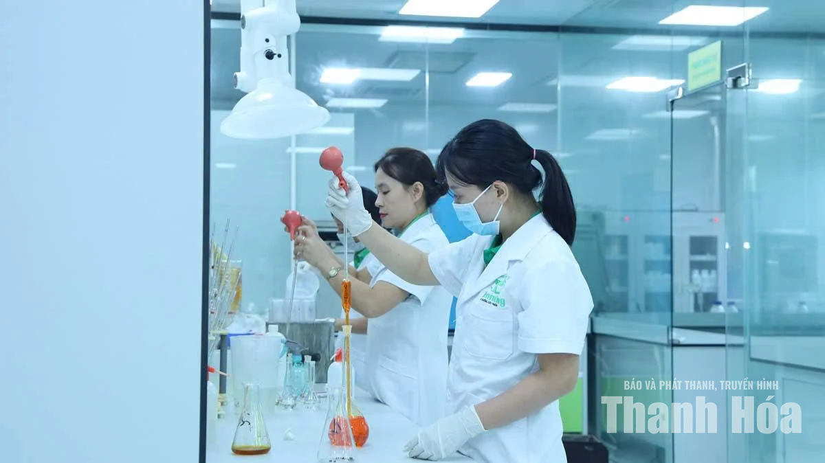 Mở đường cho những bước tiến xa