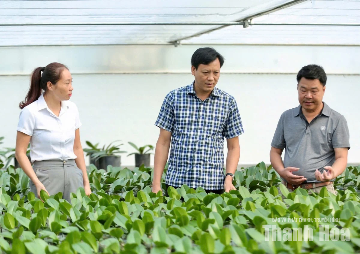 Đồng hành cùng nông dân xây dựng nền nông nghiệp xanh, sinh thái, hiện đại