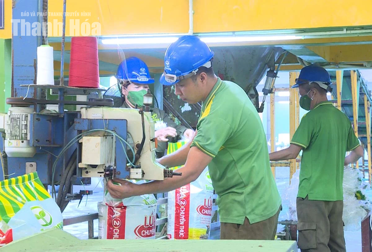 Doanh nghiệp thi đua lao động sản xuất quyết tâm đạt mục tiêu tăng trưởng hai con số