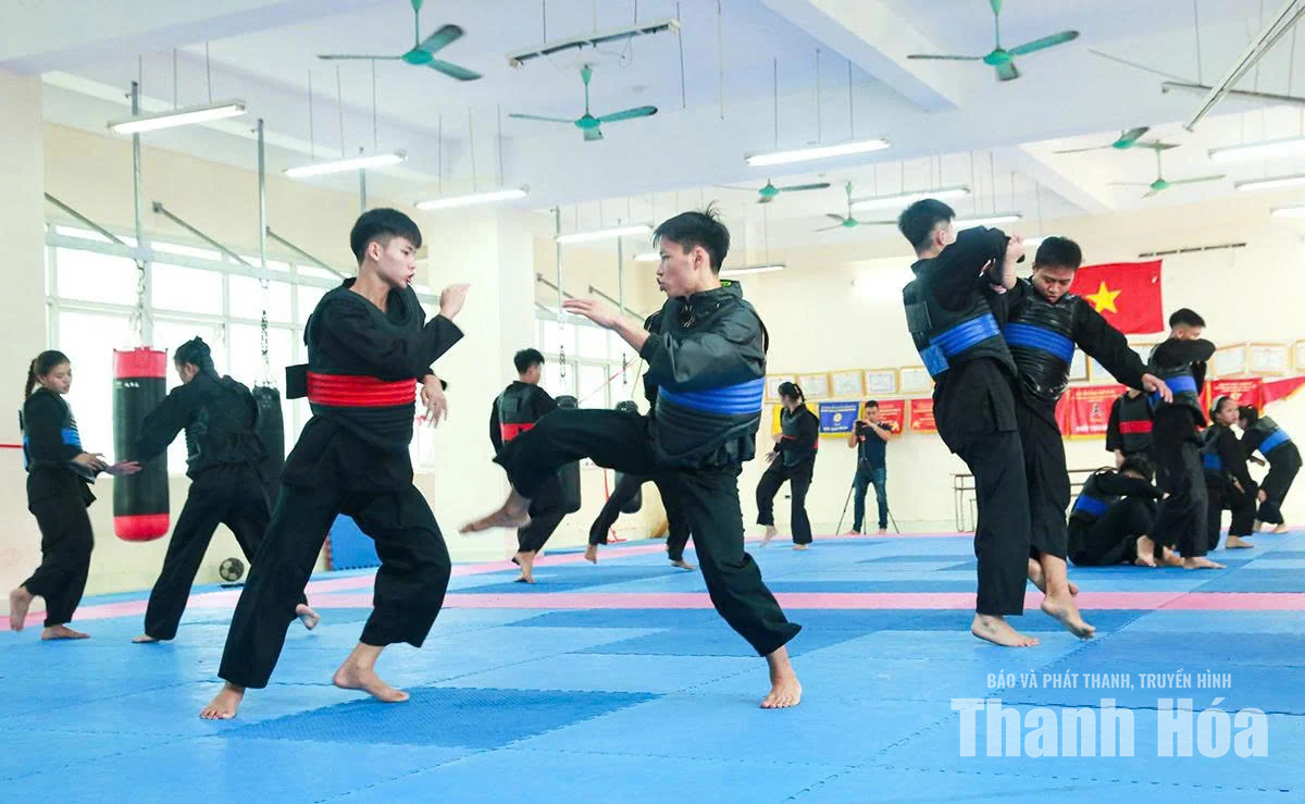 Phát huy thế mạnh võ thuật, tạo đà bứt phá cho thể thao thành tích cao