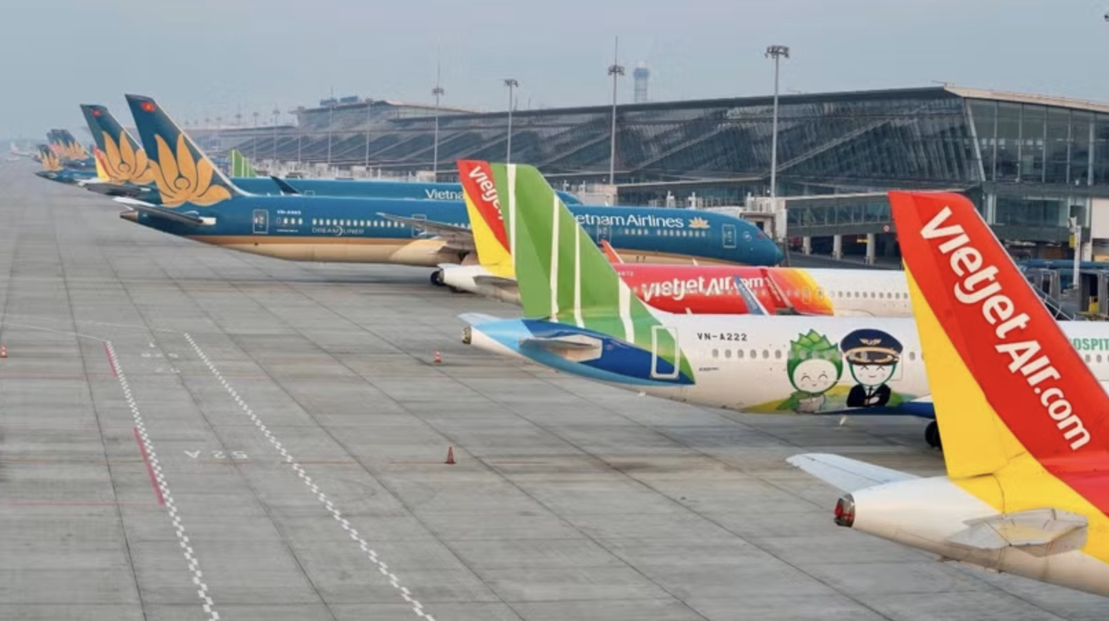 Hãng bay Việt Nam cần nghiên cứu khôi phục, phát triển đường bay nội địa