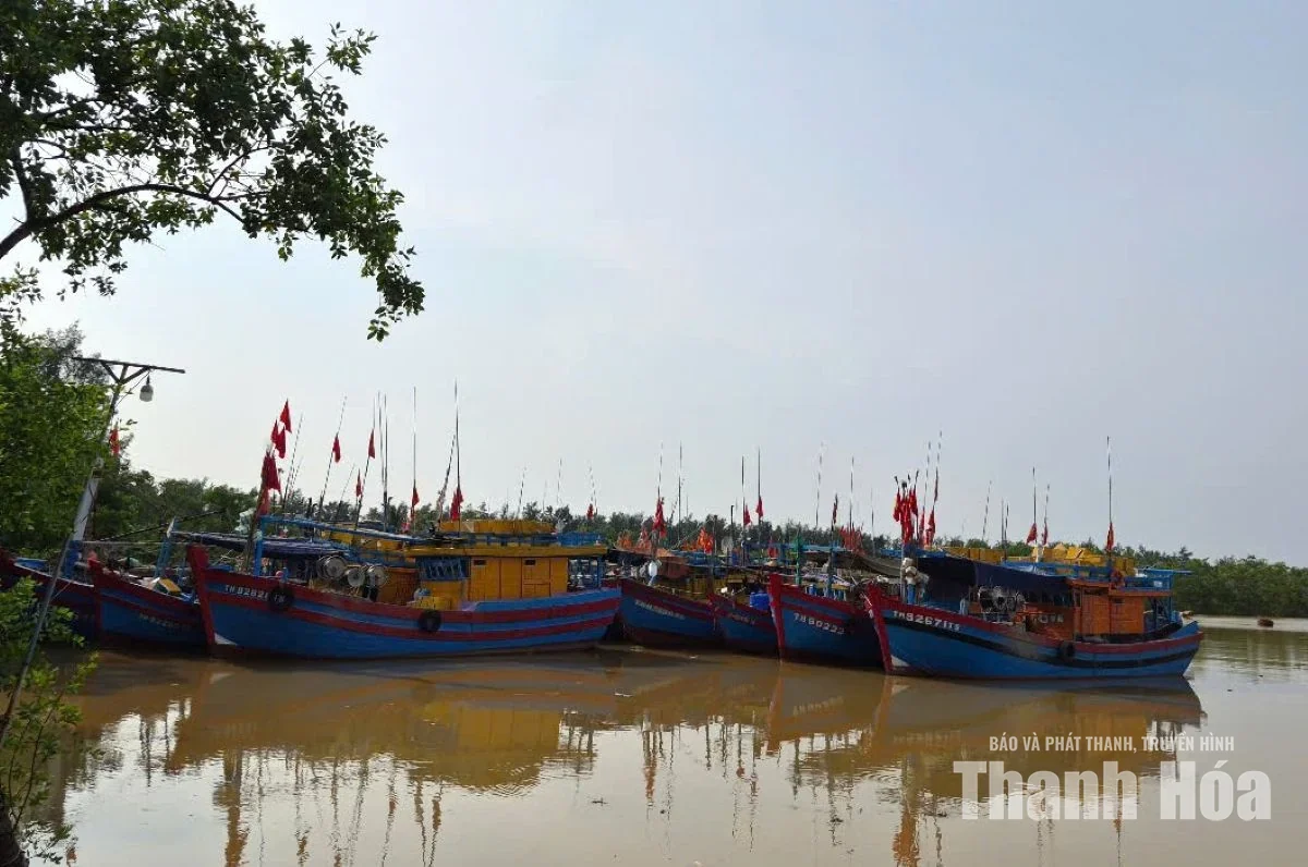 Thanh Hóa chủ động ứng phó với gió mạnh trên biển