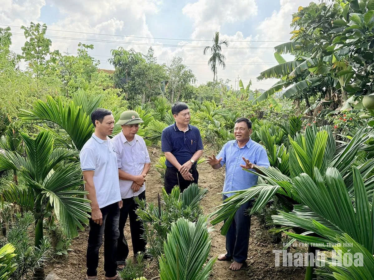 Tuổi cao gương sáng, làm giàu bền vững