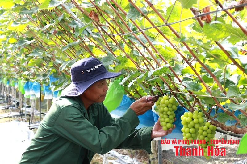 Đảng bộ xã Thiệu Hóa vững bước trên hành trình mới