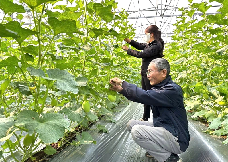 Khai mở tầm nhìn và khát vọng phát triển