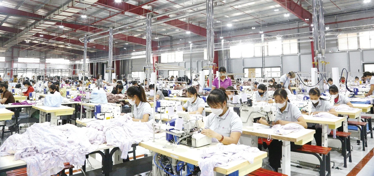 Thanh Son - a new day