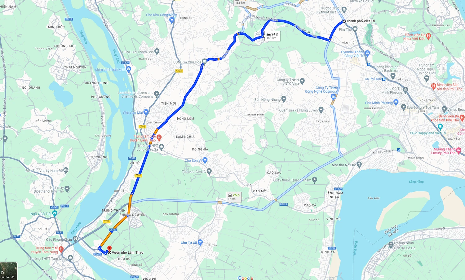 Lam Thao vineyard – Attracting visitors in Phu Tho