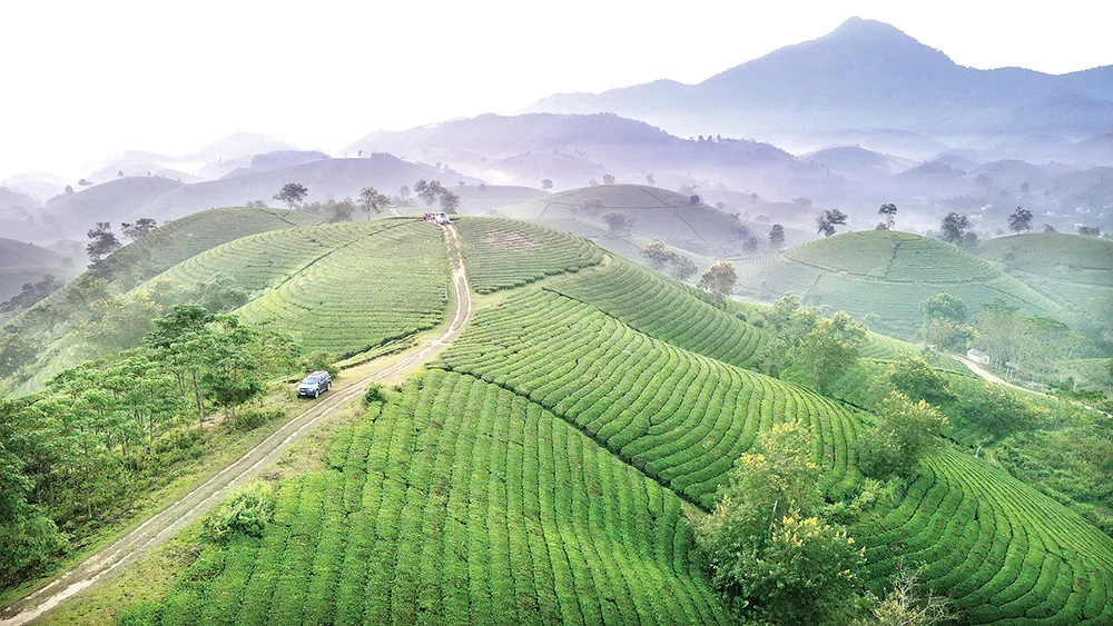 Linking to develop tourism