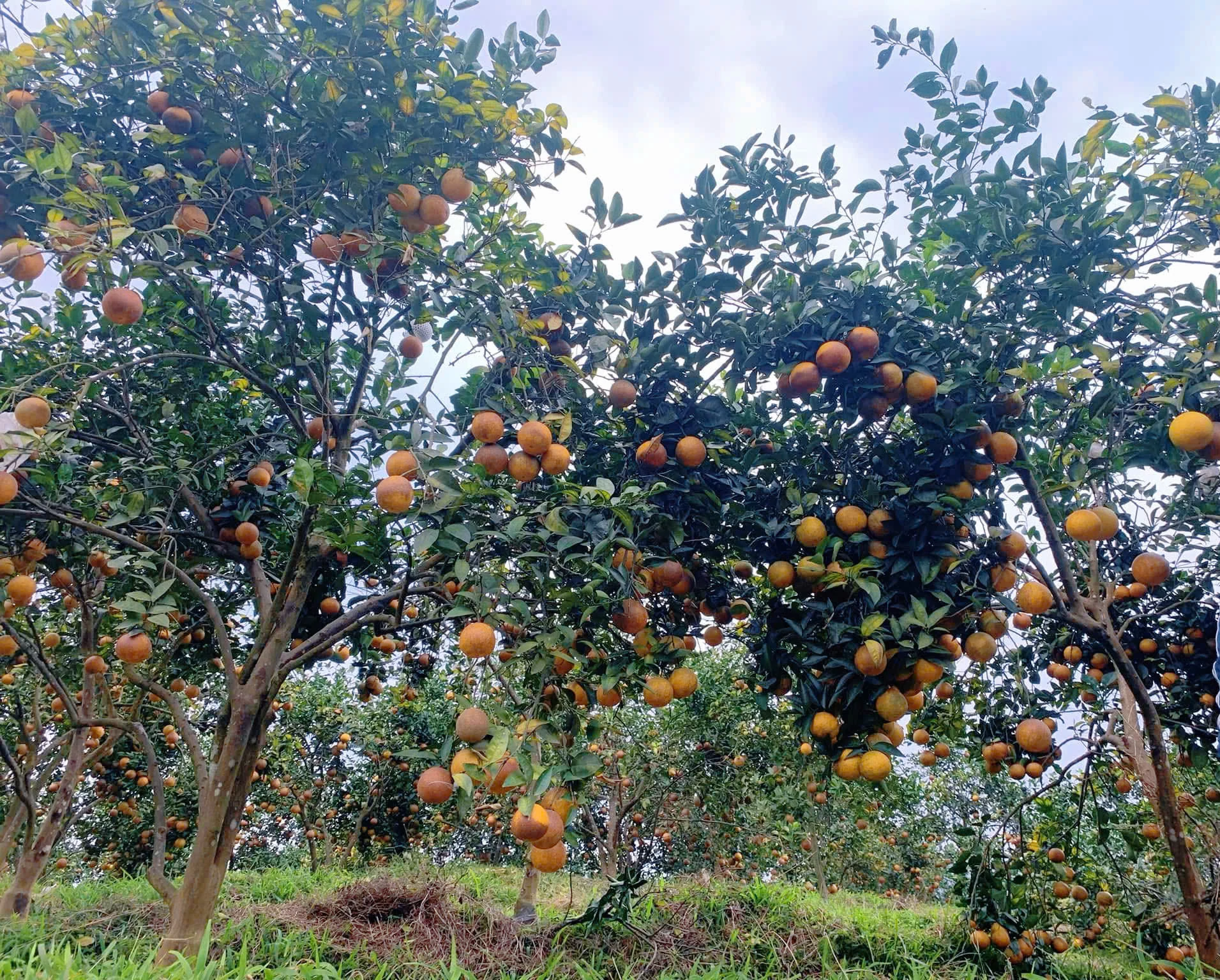 Raising awareness of intellectual property