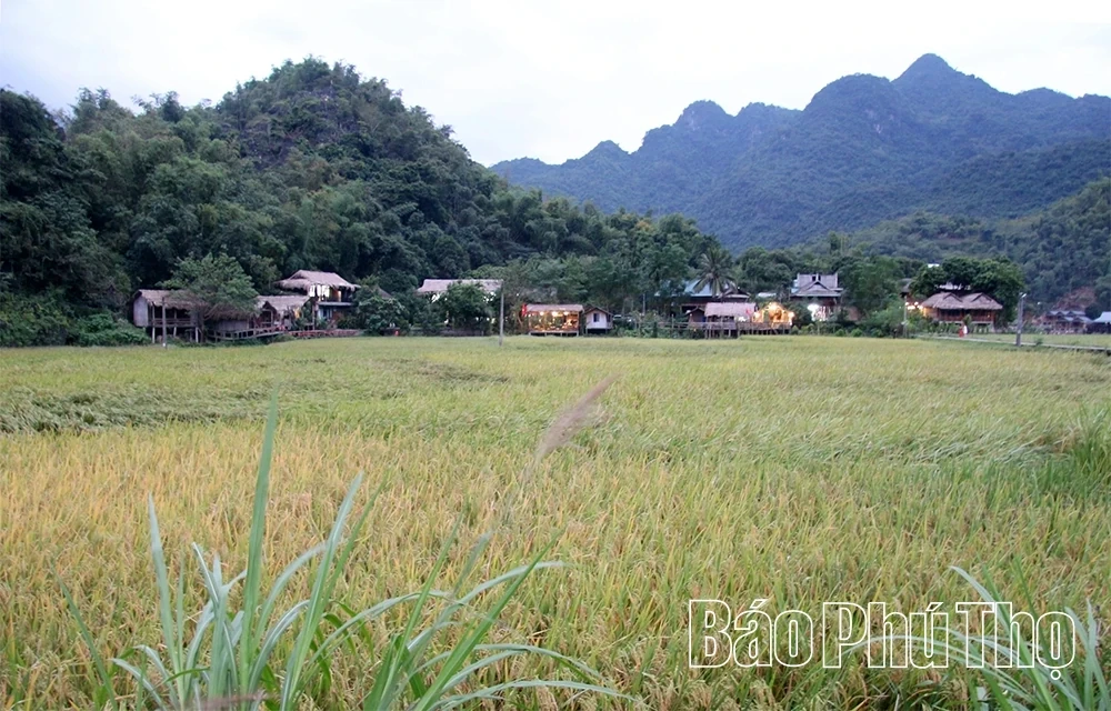 The Woman Who Brought the Scents and Colors of the Mountains to the International Tourism Map